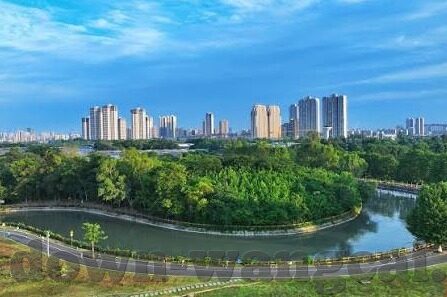 豹子王天天炸金花-豹子王天天炸金花，一场智慧与勇气的较量