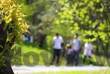 国彩足球比分-国彩足球比分，激情与理性交织的绿茵盛宴