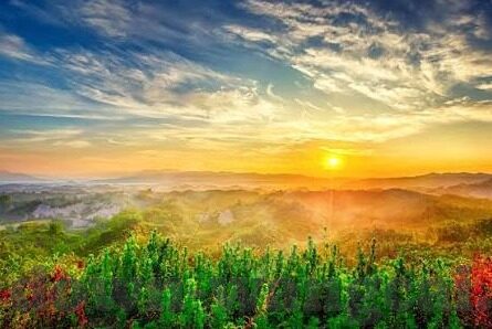 纽西兰足球联赛比分-纽西兰足球联赛比分，赛场风云与联赛发展全景解析