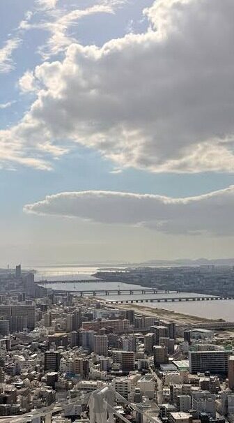 足球新浪比分直播-探秘足球新浪比分直播，实时数据背后的激情与科技交响曲